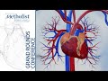 Senolytic Therapy for Cardiovascular Rejuvenation (Jordan Miller, MD, PhD) October 3, 2019