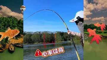 Em Gái Đi Câu Buổi Trưa Gặp Chủ Hồ Giảm Giá, Ai Ngờ Kéo Toàn Cá Khủng!