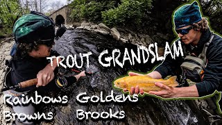 INSANE Fly Fishing for PA Trout (Trout GRAND Slam)