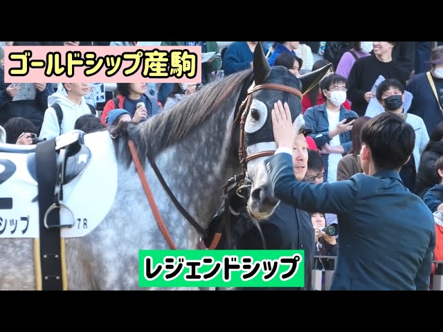 サンタの競馬　ゴールドシップ　デュラメンテ YouTube