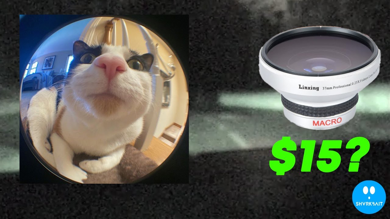 BEST FISHEYE LENS FOR SONY HANDYCAM