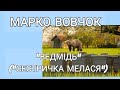 "Ведмідь" ("Сестричка Мелася") Марко Вовчок аудіокнига