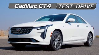 Cadillac CT4 Review - Anger Management - Test Drive | Everyday Driver