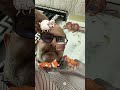 TikTok Filter Challenge #shorts #japan #korea #usa #funnytiktok #youtubeshort #viral 22/5/26/5