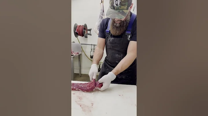 A whole deer backstrap ready to be cut into chops! 🔪🦌 #shorts