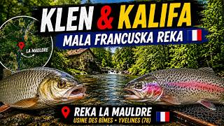 Klen Kalifa Mala Francuska Reka La Mauldre 78