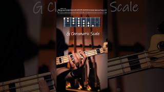 Every Note Matters G Chromatic Scale On Bass