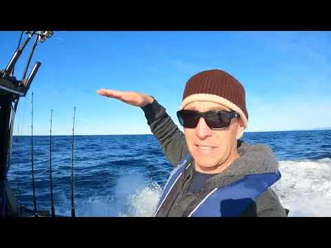 Yellowfin Plate YF70