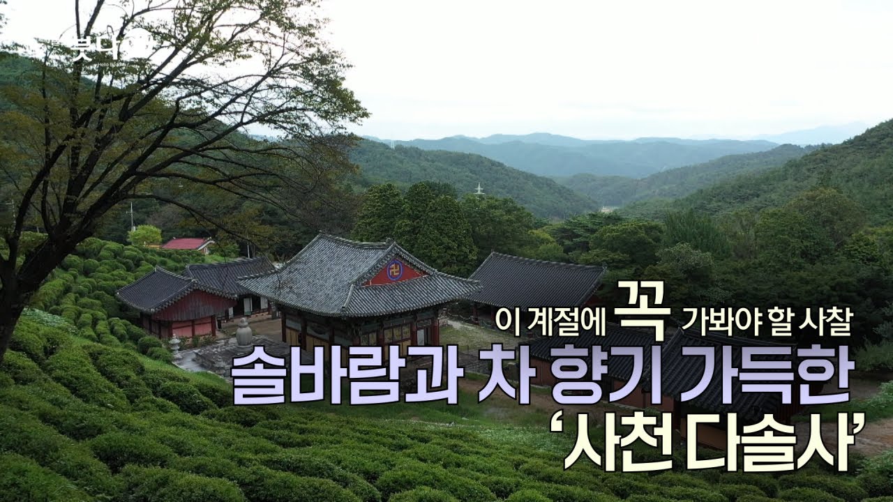 솔바람과 차 향기 가득한, 사천 다솔사  | 바람, 물, 새소리로 듣는 마음여행 | 이 계절에 꼭 가봐야 할 사찰