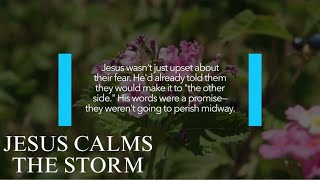 Why Jesus Told His Disciples "You Have No Faith" in the Storm (Mark 4 Bible Lesson)