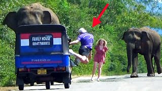 An unbelievable moment.A foreigner is thrown out of the tricycle after being attacked by an elephant