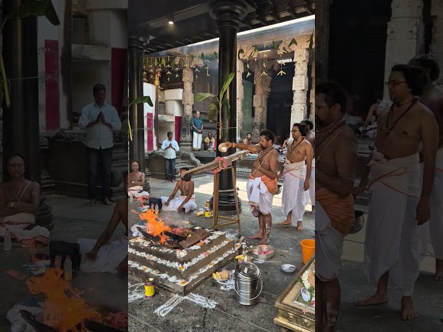 #Rudra #Homam 9.4.24 #Sri #Natarajar #Temple #Deekshithars #Shorts #reels #chidambaram #Tamilnadu class=