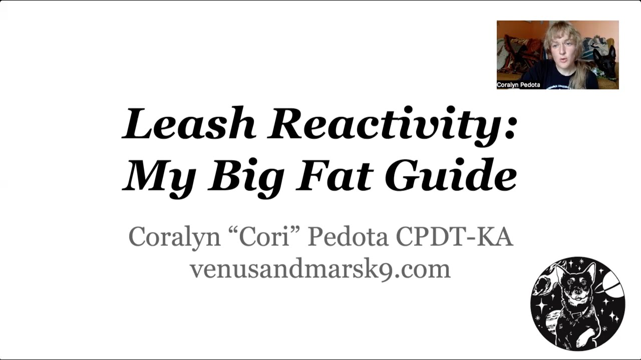 Leash Reactivity Training: My Big Fat Guide