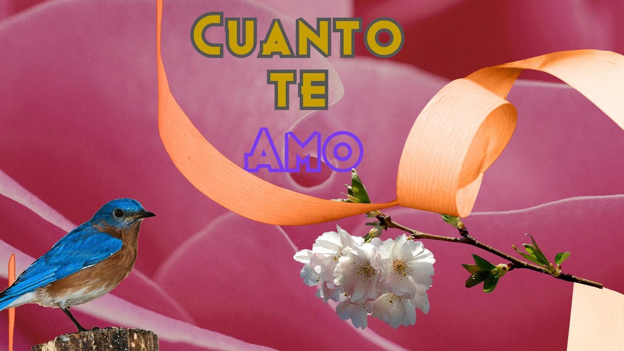 Cuanto te amo mi Amor.Poemas de Amor para Dedicar.