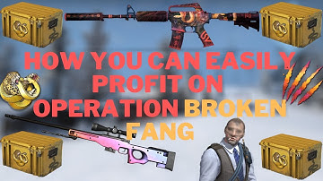 CSGO NEW OPERATION BROKEN FANG INVESTING GUIDE | How To PROFIT