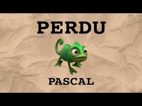 Perdu: Caméléon nommé Pascal - Raiponce I Disney 