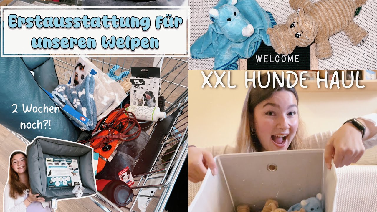 Erstausstattung für unseren Welpen | XXL Hunde Haul | Welpenvorbereitungen | melliescameraroll
