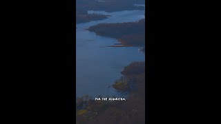 Little Dipper on the Appalachian Trail | Polarsteps