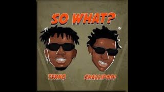 Tekno Ft Shallipopi So What instrumental