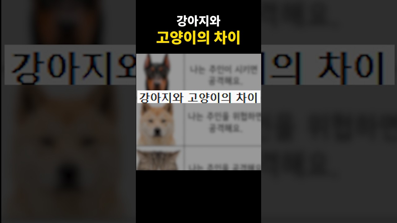 강아지와 고양이의 차이 썸네일