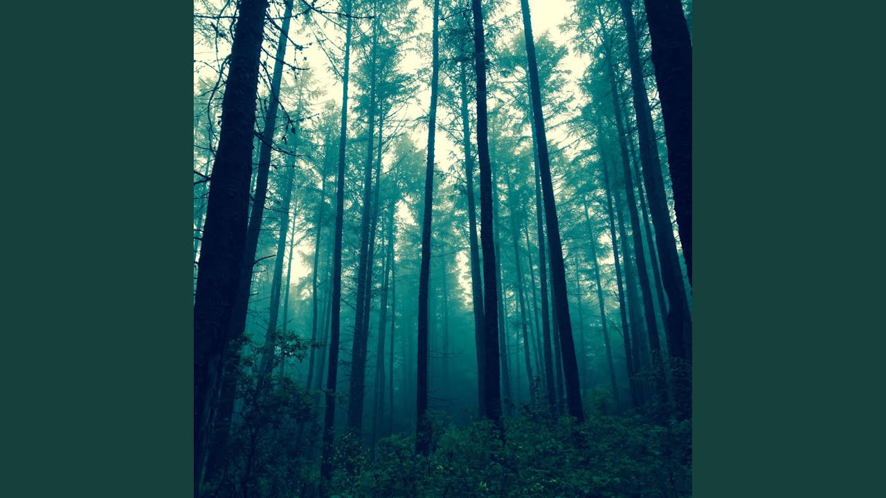 Obejrzyj Epic views w YouTube Obejrzyj Epic views w YouTube