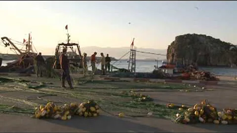 What is natural capital and why is it so important?