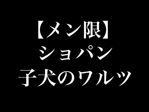 【フルート】ショパン作曲 / 子犬のワルツ