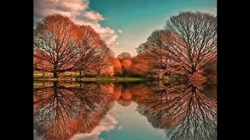 Marmalade  Reflections of My Life  HD