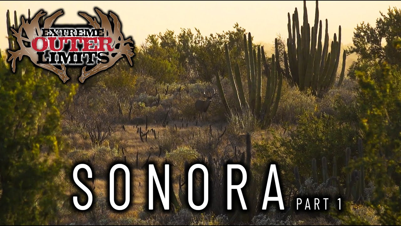 Hunting Mule Deer in Sonora Mexico - Part 1 