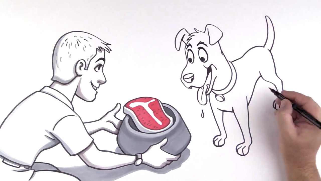 Feed Vs Food Know The Difference TruDog YouTube feed-vs-food-know-the-difference-trudog-youtube