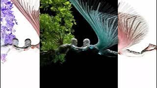 MASHUP SAVE ME (Anyma) SEX SYMBOL (Elliot skyfall) DJ NEVER LEAVE DOWN