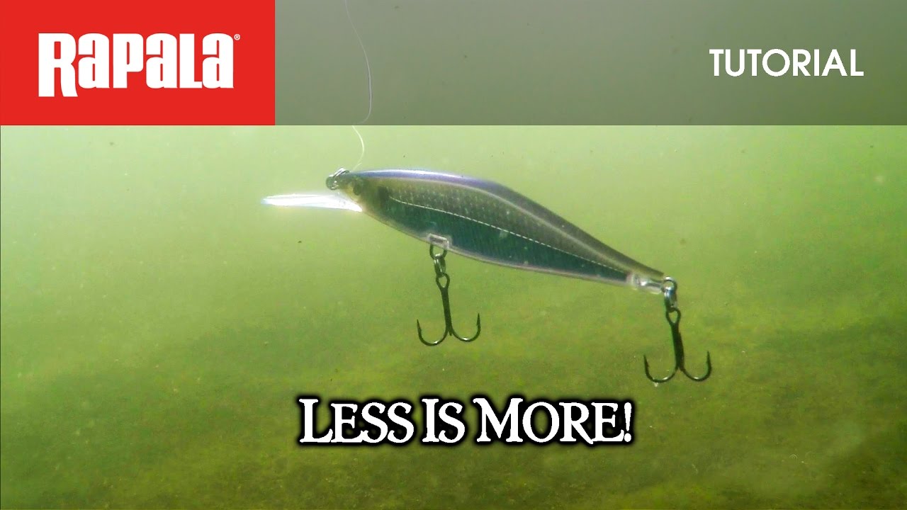 Less is more: The Rapala® Shadow Rap® Shad-HOW TO FISH 