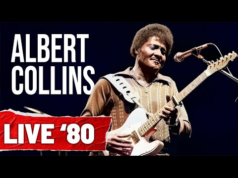 Albert Collins &