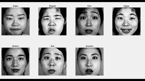 Facial Expression Recognition using Bag of Visual Words and SVM