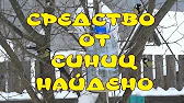 ПЧЕЛОВОДСТВО Пчелиный Шалаш