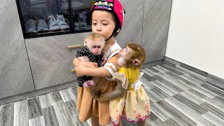 Diem's ​​touching farewell to Monkey Kaka and Monkey Mit by Monkey KaKa 113,187 views 12 days ago 10 minutes, 25 seconds