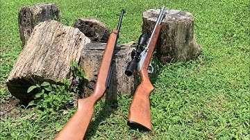 Cover Image for Ruger 10/22 vs Marlin Model 60: Head to Head accuracy test.