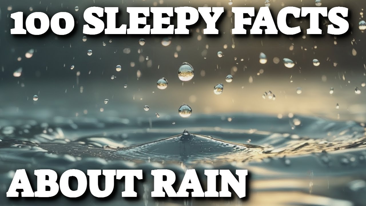 The Most Relaxing Facts About Rain to Fall Asleep to