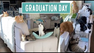 Graduation Day -- Kitten School