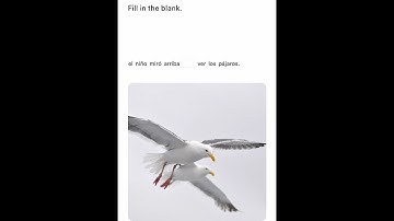 June Build of the Fluent Forever App (Demo!)