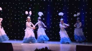 Казахский танец "Кұстар" в исполнении ОХА "Аяла"