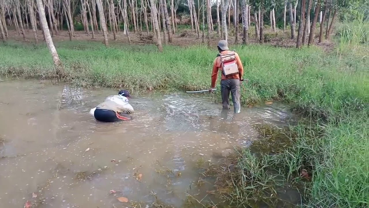 tes strom ikan pac, trafo 5a 12 mosfet, di lokasi rawa bening