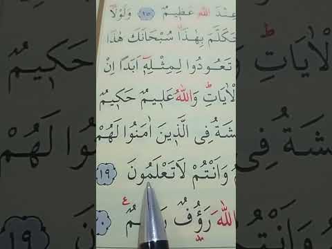 سورة النور الأية 19 إلى 20 القارئ سعد الغامدي