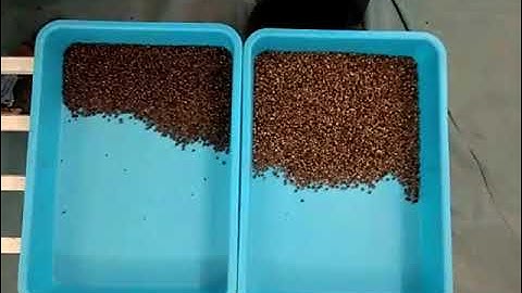 X-Series Pepper Sorting Machine