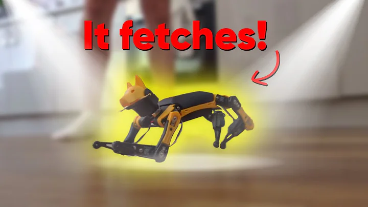I did not expect this Robot Dog to do this... | Petoi Bittle Review