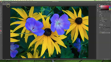 Preparing images for Offset Printing