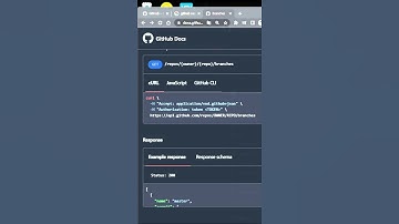 github API를 이용하여 github브랜치 목록 조회