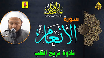 6 -  ترتيل سورة الأنعام (كاملة) أجمل تلاوة تزيل همك | الشيخ رضا عبد المحسن