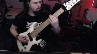 OneRepublic - Apologize | Instrumental Metal Cover by Virus in Veins | 8-String Guitar