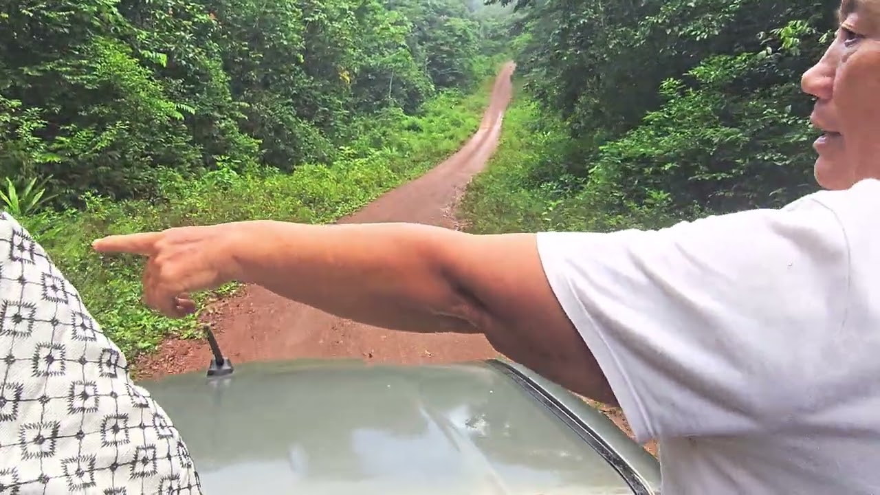 Hmoob nplog tuaj nyob ua teb rau guyane fab ki av me